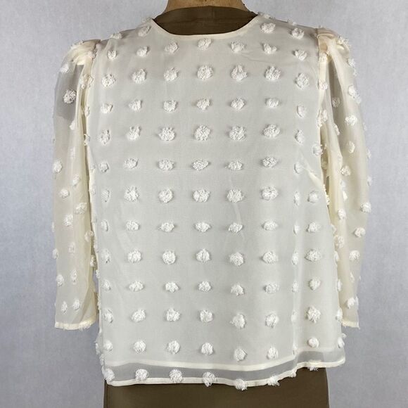 NEW Forever 21 Sheer Top Shirt Polka Dot Texture Small Puff 3/4 Sleeve Cropped - Picture 10 of 10